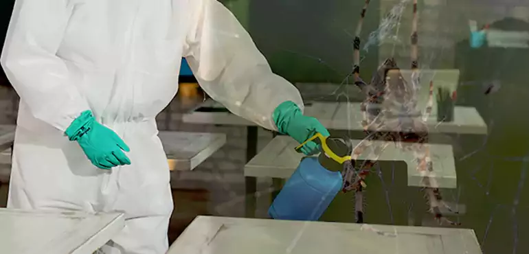 Why Buyers Still Want Homes With Pest Infestations in Paterson, NJ?