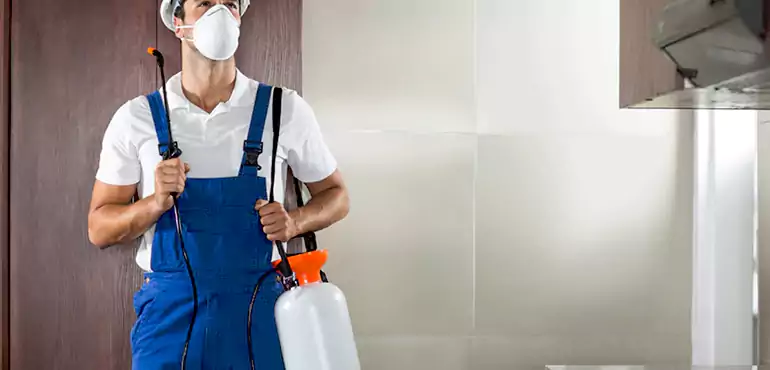 Why Paterson Homeowners Choose Us When Pests Make Selling Difficult